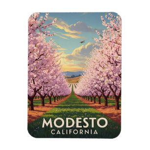 Imán Modesto California Central Valley