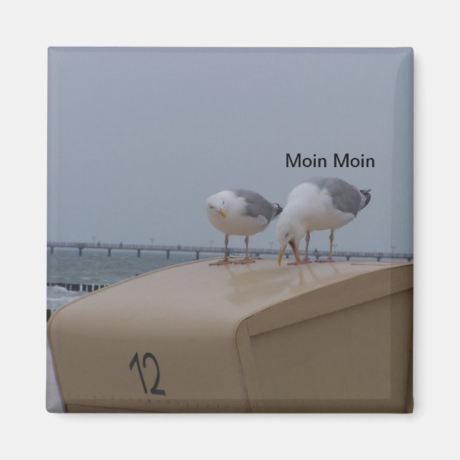 Imán Moin Moin (Frente)