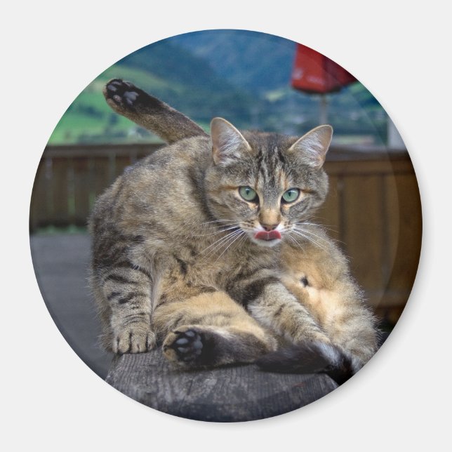 Imán Molesto durante la limpieza (Frente)