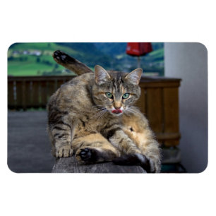 Imán Molesto durante la limpieza