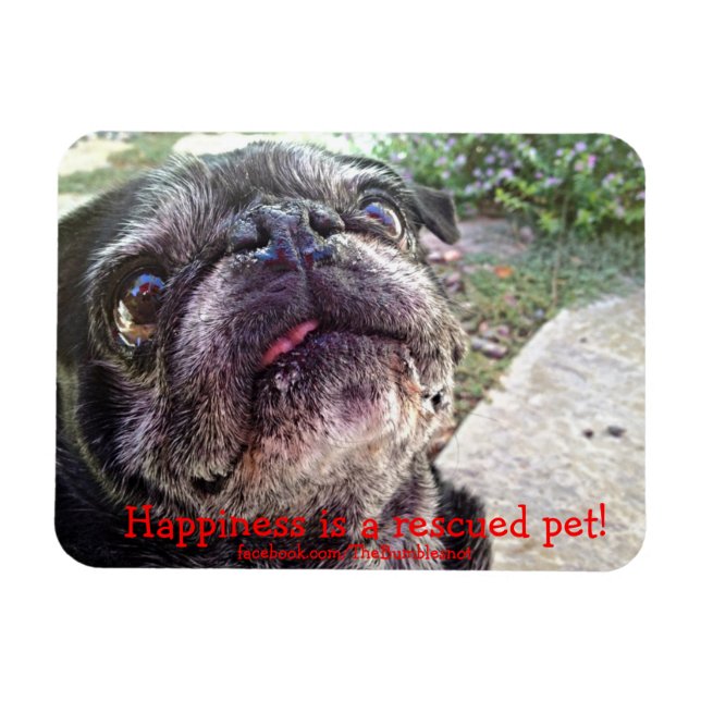 Imán molesto: ¡La felicidad es un mascota rescatad (Horizontal)