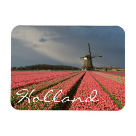 Imán Molino de viento con tulipanes rosados en primaver