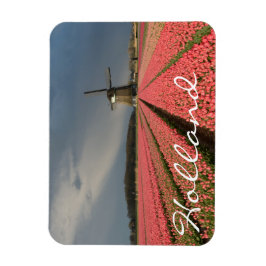 Imán Molino de viento con tulipanes rosados en primaver