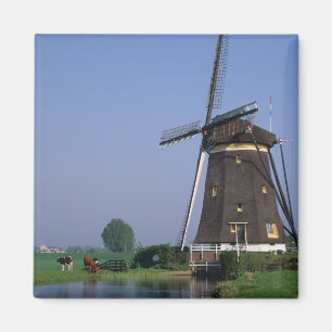 Imán Molinos de viento, Leidschendam (Países Bajos)