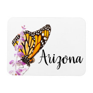 Imán Monarca encaramado en lavender, Arizona