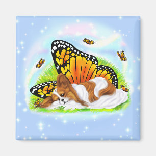 Imán Monarca místico de Papillon