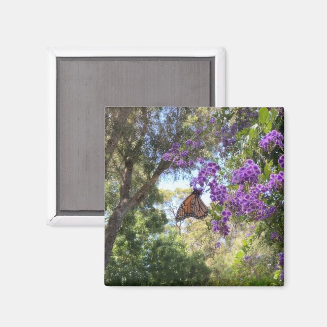 Imán Monarch Butterfly on Purple Flowers (Anverso/Reverso)