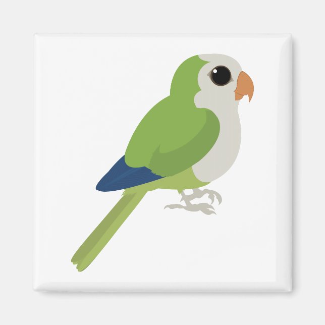 Imán Monk Parakeet (Frente)