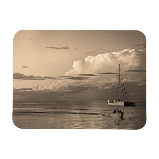 Imán Monkey Mia (Horizontal)