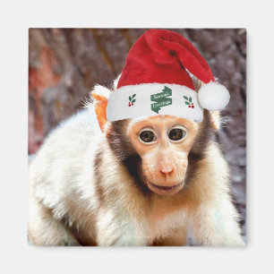 Imán Mono bebé en los Navidades