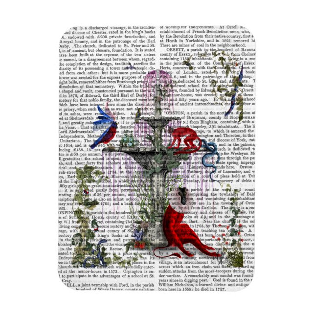 Imán Mono escarlata 2 (Vertical)