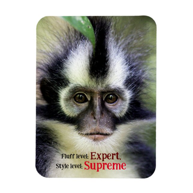 Imán Mono fluffy Thomas Leaf (Vertical)