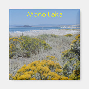 Imán Mono lago, CA