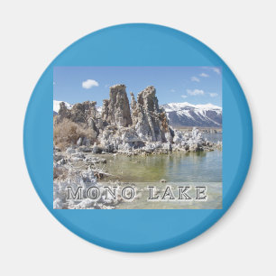 Imán Mono lago majestuoso