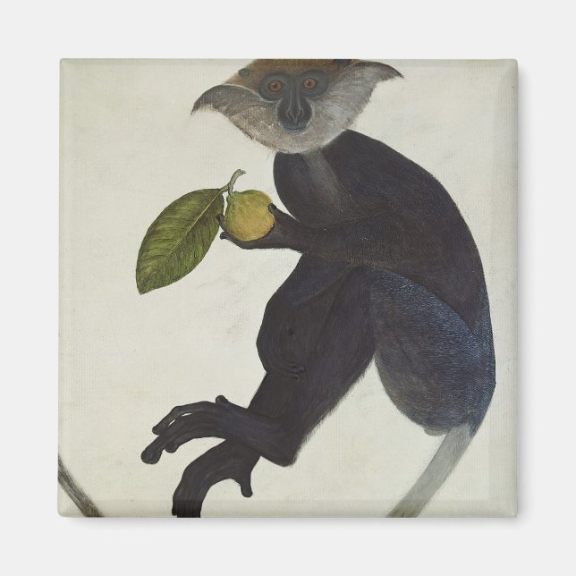 Imán Mono negro (Frente)