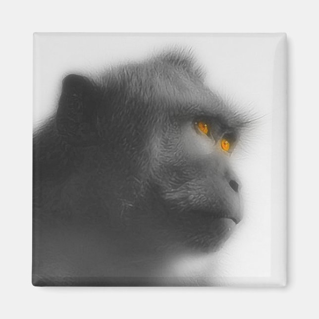 Imán Mono penoso (Frente)