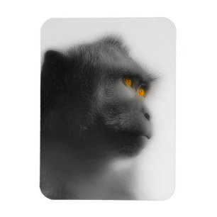 Imán Mono penoso