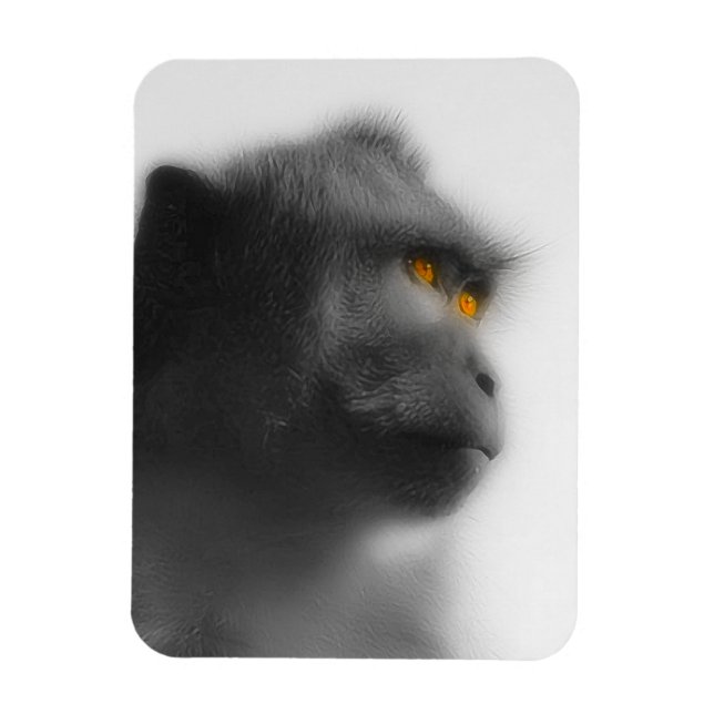 Imán Mono penoso (Vertical)