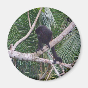 Imán Mono y mono bebé en la selva de Costa Rica