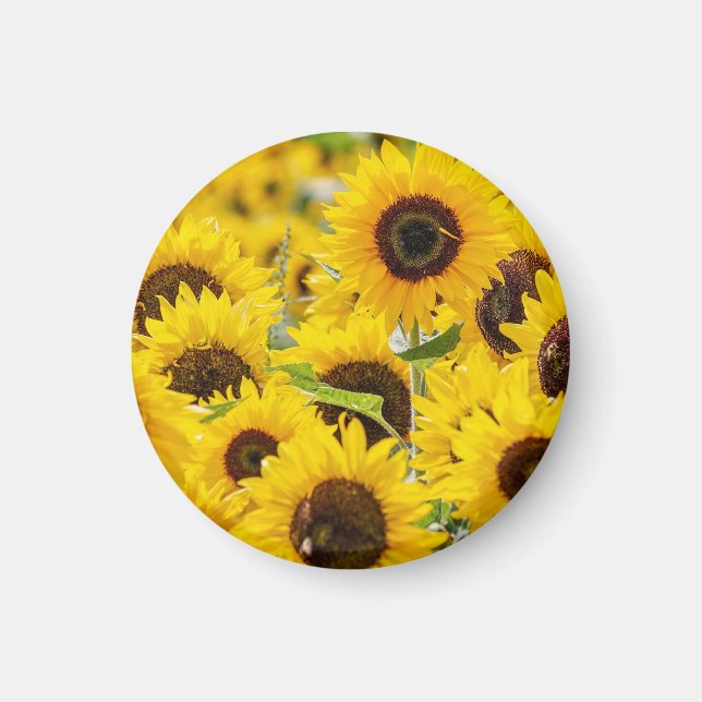 Imán Monograma de girasol personalizado (Frente)