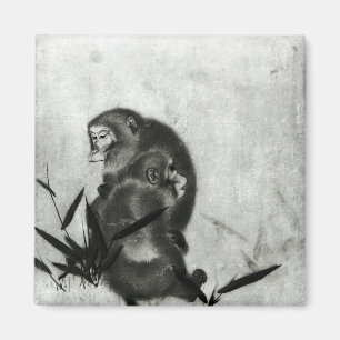 Imán Monos