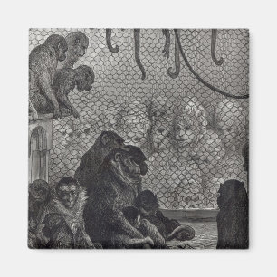 Imán Monos de London