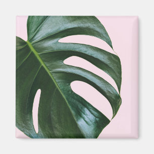 Imán Monstera Tropical Leaf