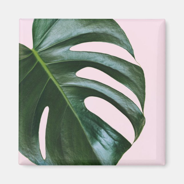 Imán Monstera Tropical Leaf (Frente)