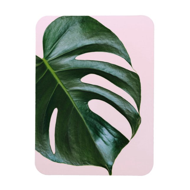 Imán Monstera Tropical Leaf (Vertical)