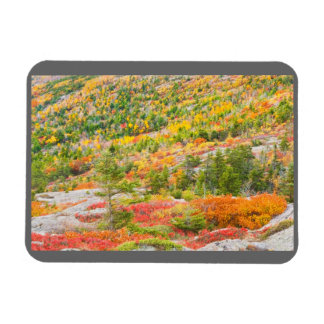 Imán Montaña Cadillac en otoño, Parque Nacional Acadia