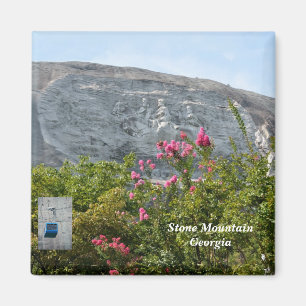 Imán Montaña de piedra Georgia 