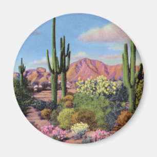 Imán Montaña del Camelback de Phoenix Arizona
