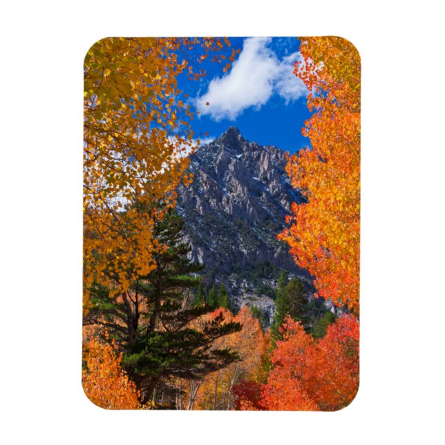Imán Montaña enmarcada en follaje otoño, CA (Vertical)