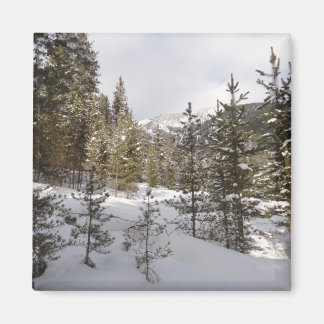 Imán Montaña nevada de invierno en Montana