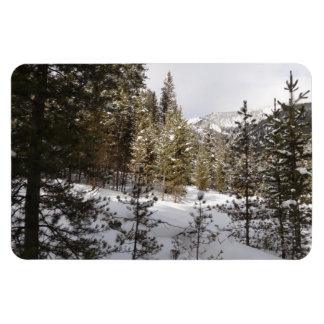 Imán Montaña nevada de invierno en Montana