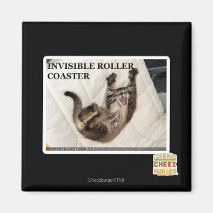 Imán Montaña rusa invisible