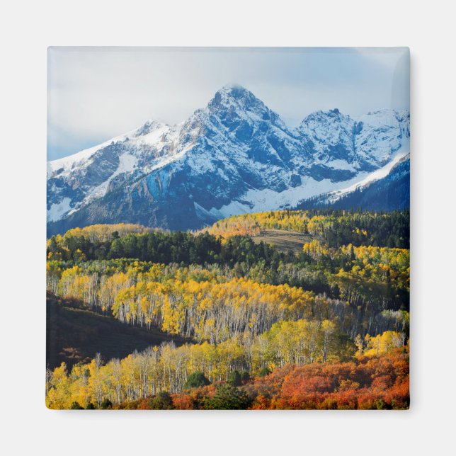 Imán Montaña y árboles nevados (Frente)