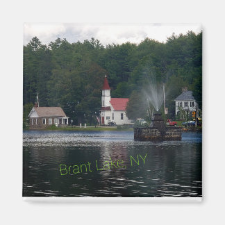 Imán Montañas Adirondack de la fuente Brant Lake NY