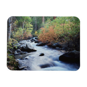 Imán Montañas California, Sierra Nevada 11