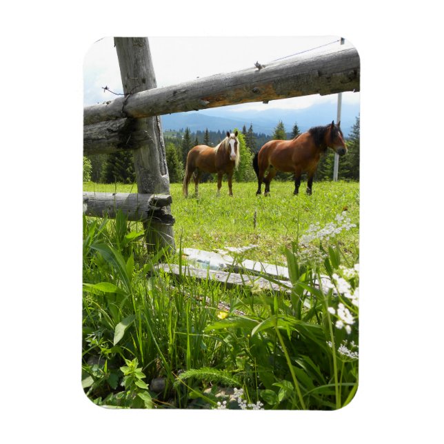 Imán Montañas de los Cárpatos - Ucrania (Vertical)