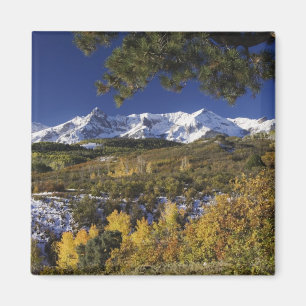 Imán Montañas de San Juan y árboles de Aspen en colorid