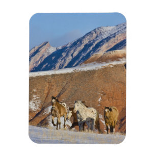 Imán Montañas del Cuerno Grande, caballos corriendo en 