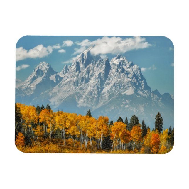 Imán Montañas del Gran Tetón en otoño (Horizontal)