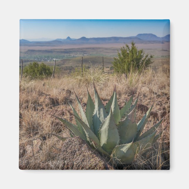 Imán Montañas Fort Davis Agave (Frente)