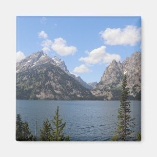 Imán Montañas Grand Teton y lago Jenny