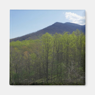 Imán Montañas humeantes en el paisaje de primavera
