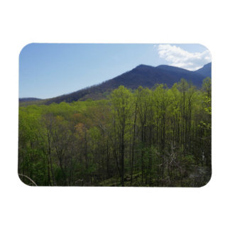 Imán Montañas humeantes en el paisaje de primavera
