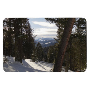 Imán Montañas Madison en invierno en Montana