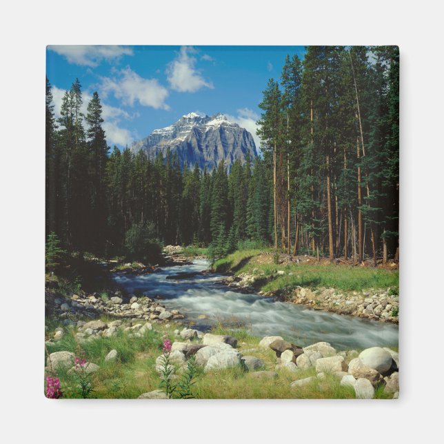 Imán Montañas | Parque nacional Banff (Frente)