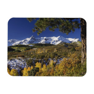 Imán Montañas San Juan y árboles de Aspen en colorido o